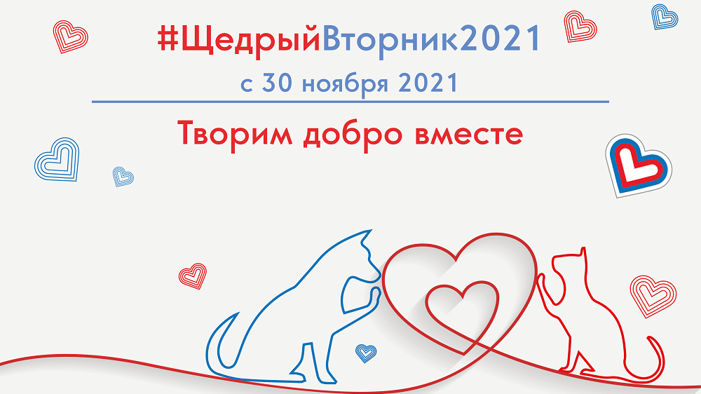 В #ЩедрыйВторник2021 сотрудники ТМК и Группы Синара помогут бездомным животным